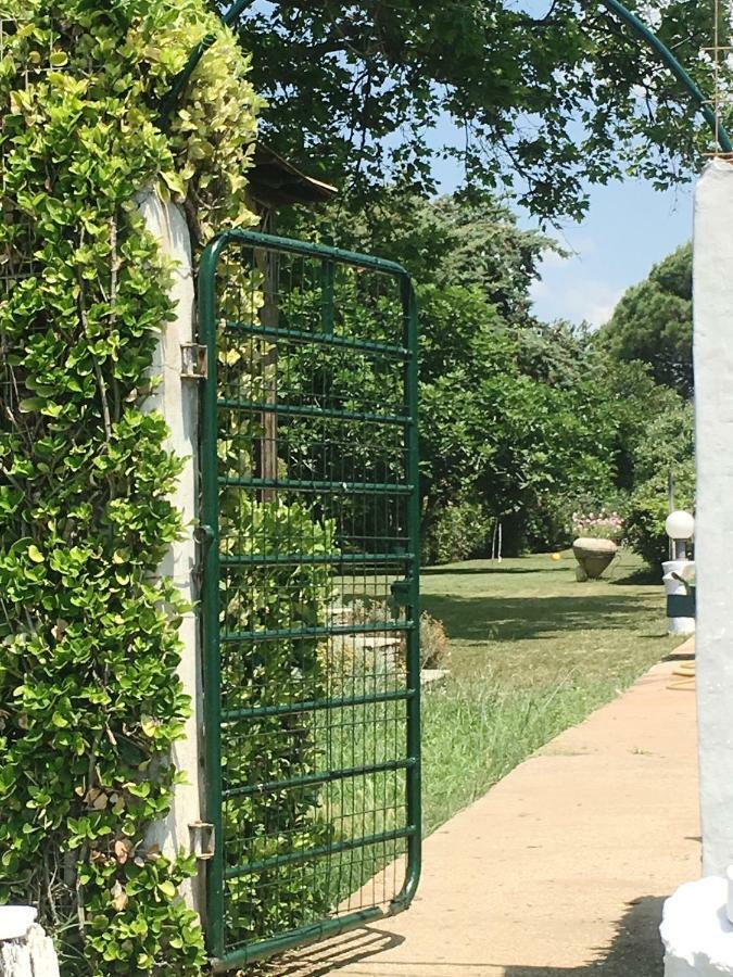 亚历山德鲁波利斯Estate Irene别墅 外观 照片