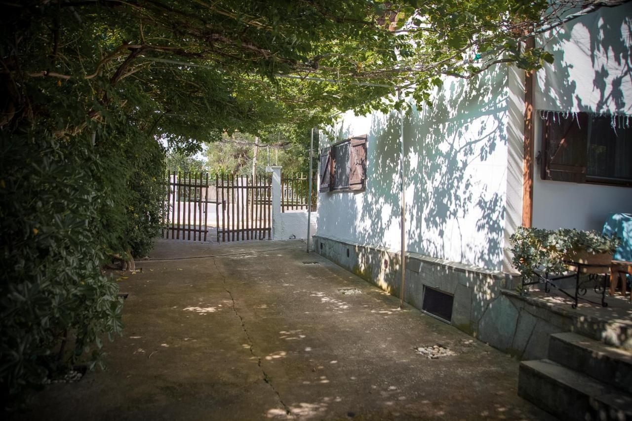亚历山德鲁波利斯Estate Irene别墅 外观 照片