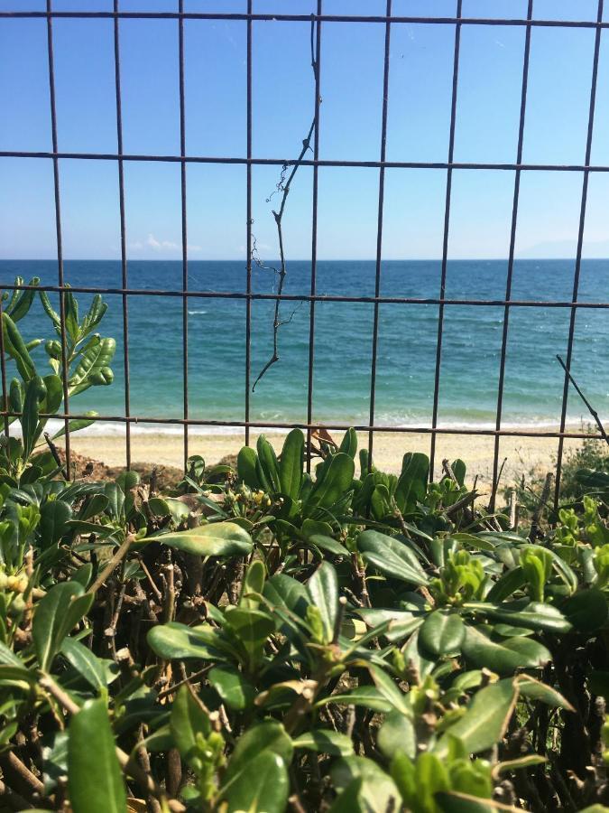 亚历山德鲁波利斯Estate Irene别墅 外观 照片